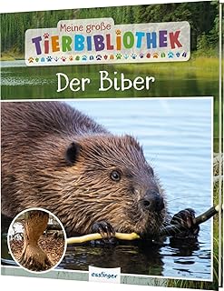 Meine große Tierbibliothek: Der Biber: Erstes Wissen für Vor- und Grundschule