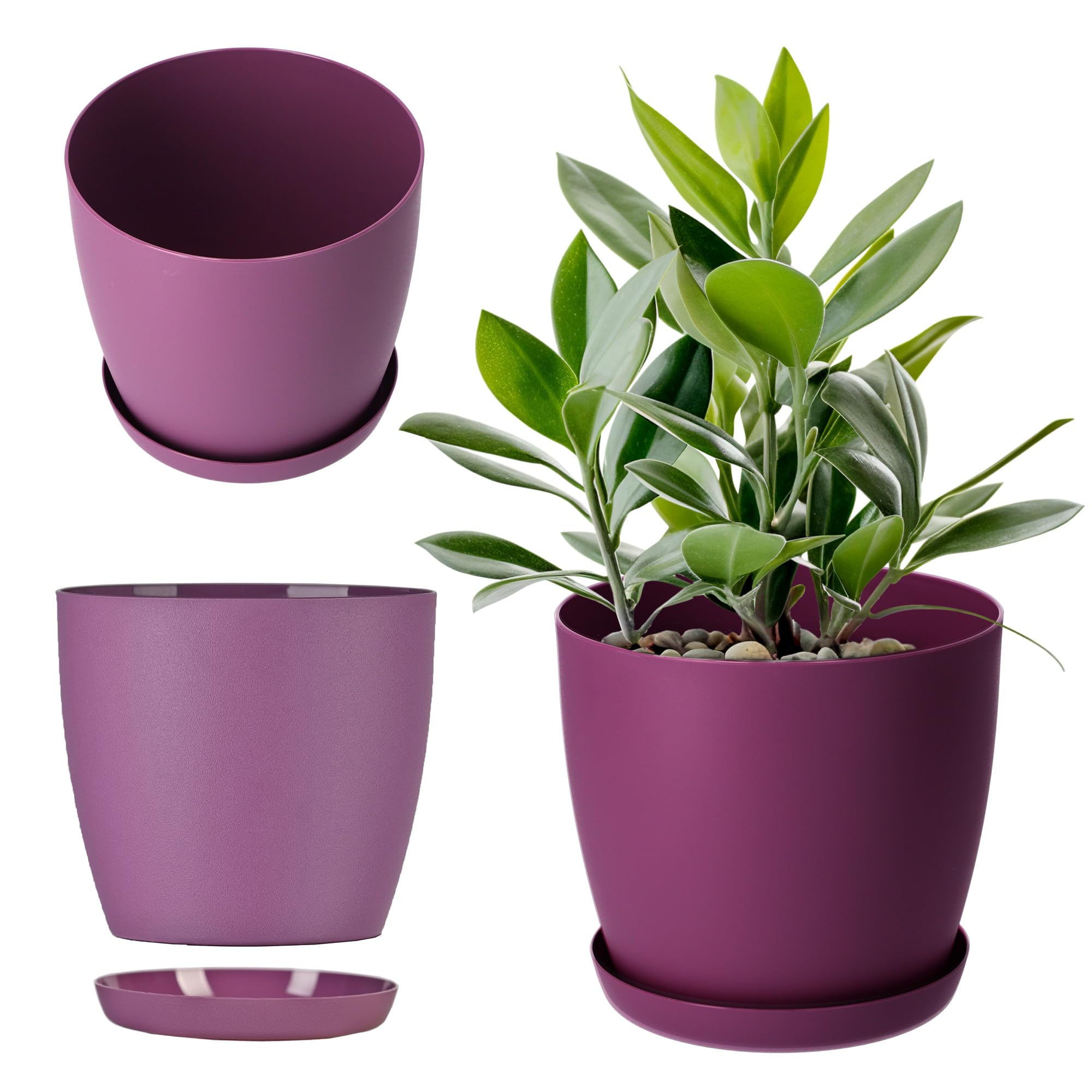 KADAX Maceta con Plato y Plato para Cactus, helechos (30 cm, Rosa) — view 12