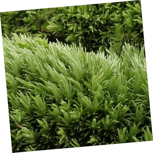 Miniatura 2 de Mipcase 3 piezas de plantas artificiales de musgo artificial para pecera, plantas artificiales para plantas de imitación para acuario, musgo,