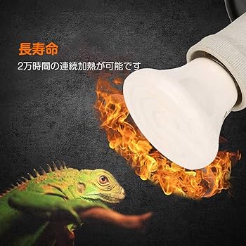 爬虫類保温器具 まとめ売り Amazon.co.jp 最新リリース: 爬虫類・両生類用保温球・ヒーター