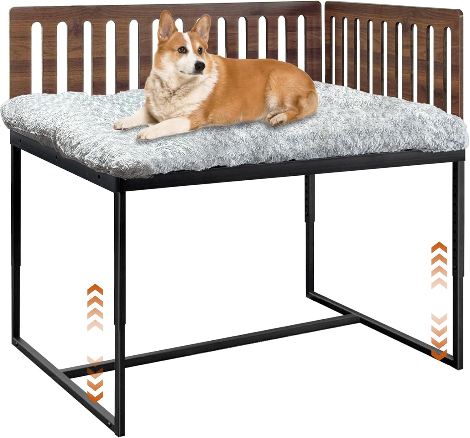 Afternoon Deals @ Your Local BIDFTA! 