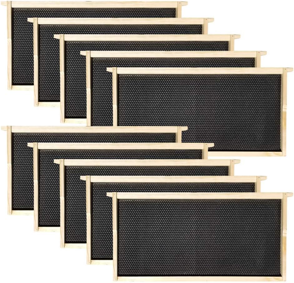 Amish Made in USA Starter Bee Hive Complete for Honey with Frames and Foundations 10 Frame