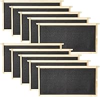 Vista 4 de Amish Made in USA Starter Bee Hive Complete para miel con marcos y cimientos 10 marcos