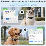 Ver la foto 3