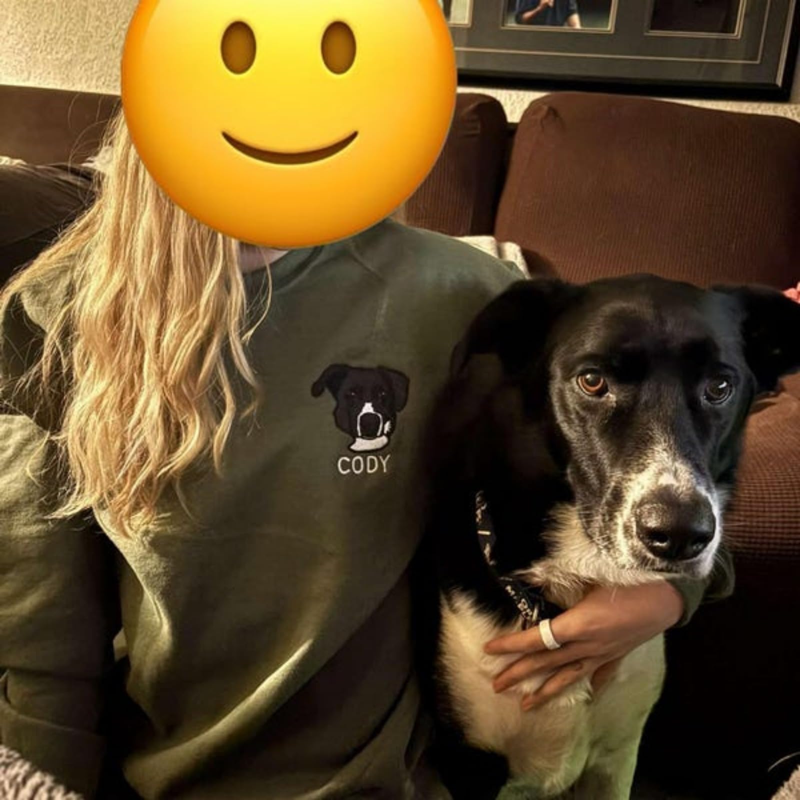 Sudadera bordada con cara de mascota, sudadera con capucha con foto de perro, sudadera con capucha bordada personalizada para mascotas, regalos para papá y perro, camiseta personalizada con nombre de