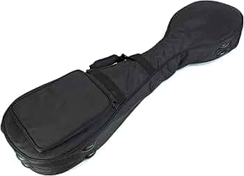 71IBpNx44DL._AC_UF350,