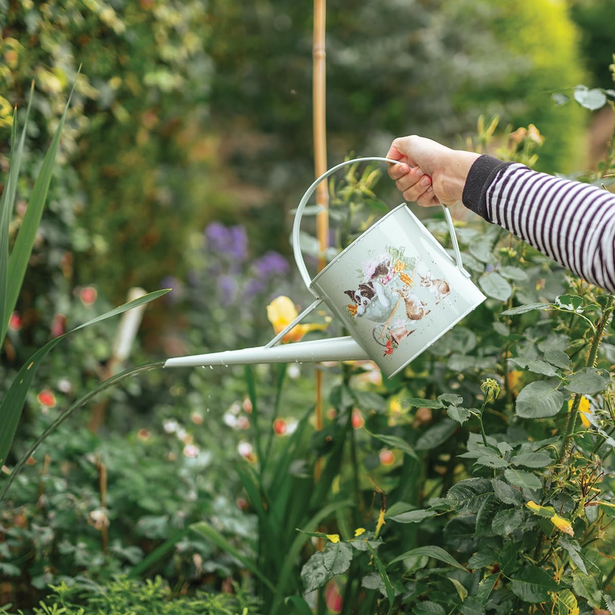 Wrendale Designs by Hannah Dale 'Sleeping on the Job' Border collie and Rabbit Gardening Watering Can