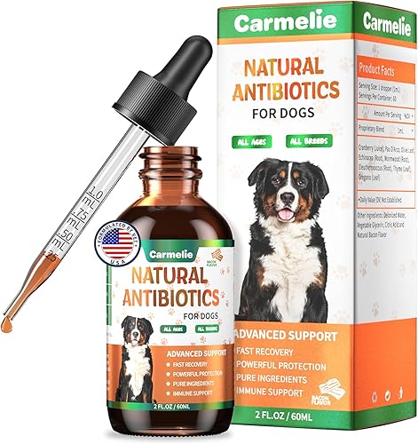 Miniatura 8 de Antibióticos naturales para perros  Antibióticos para perros, suplementos nutricionales para problemas de piel, alivio de picazón, suplemento de