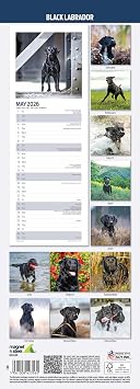 Labrador Black 2026 Slim Calendar