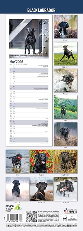 Labrador Black 2026 Slim Calendar