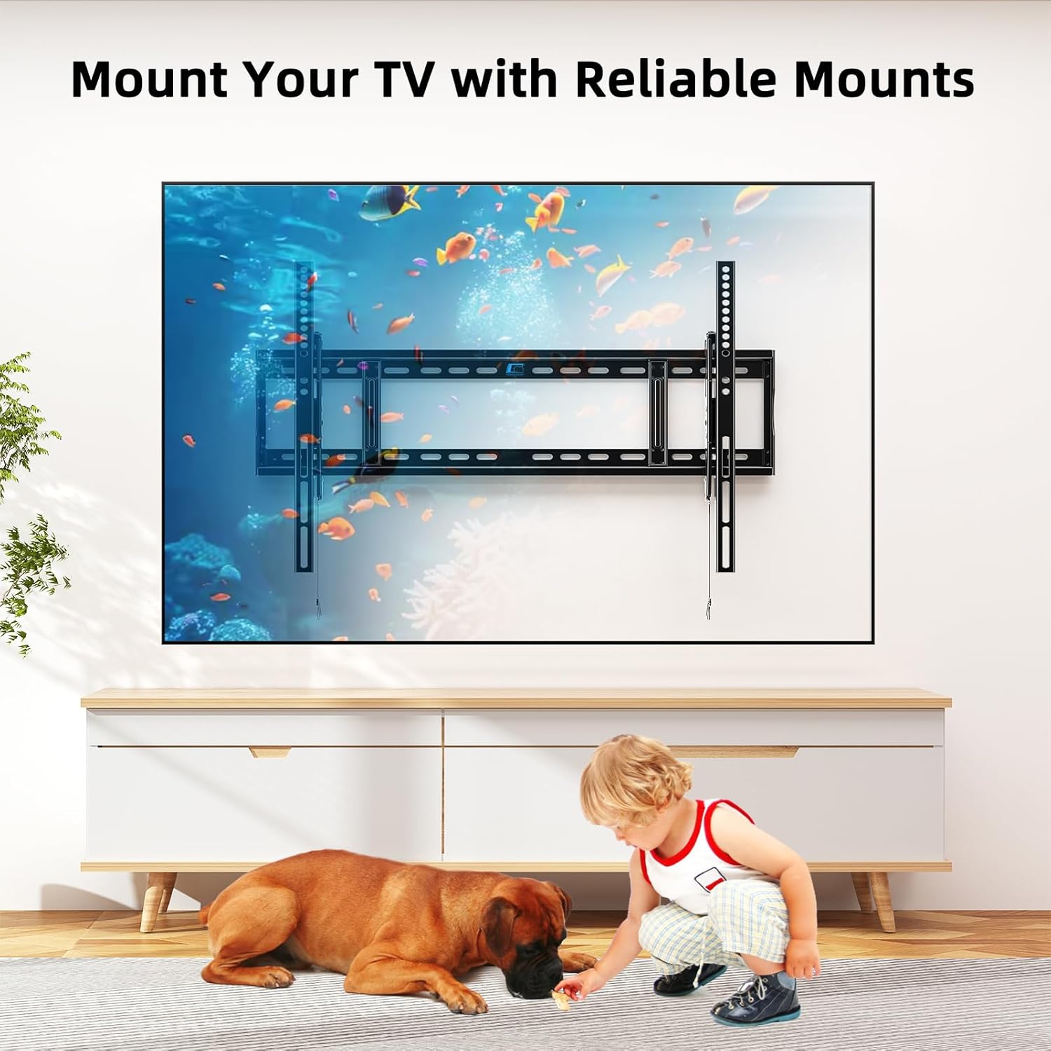 https://m.media-amazon.com/images/I/71IBsMd5XVL._AC_SL1500_.jpg
