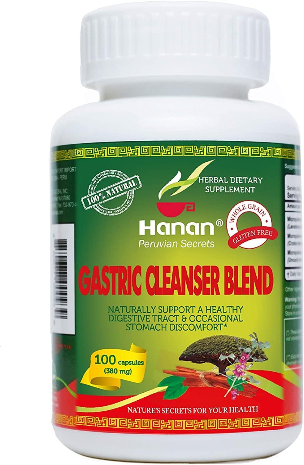 Gastrisan Gastric Cleanser Blend | 100 Capsules | Naturally Aids in Supporting Healthy Digestive Tract