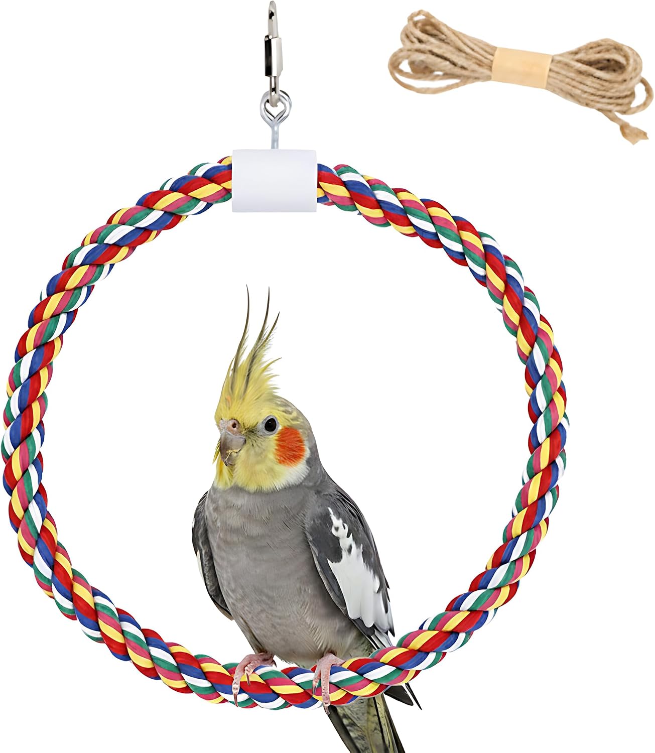 Rope Bird Swing, Budgies Ring, Small Hanging Perch, Play Gym Decor