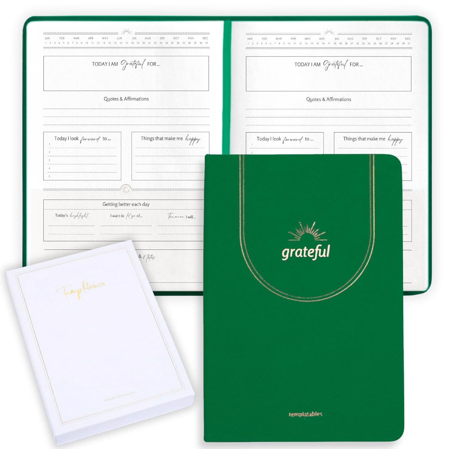 Gratitude Journal – Daily Mindfulness & Wellness Notebook with Premium Leather Cover, Guided Prompts, 170gsm No-Bleed Paper, Gold Foil, Satin Bookmark & Luxury Gift Box for Women & Men (Emerald Green)      Unknown Binding