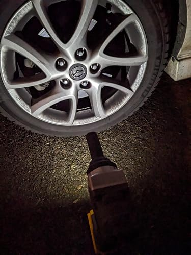 Review Image by Wolfman