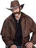 Forum Novelties 54864 Civil War General Beard, Brown