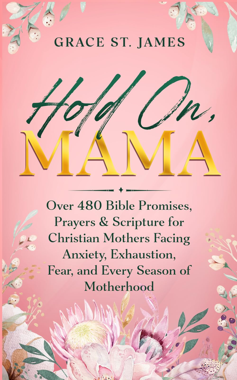 Hold On, Mama: Gods Words of Hope, Healing, and Encouragement for Every Mother's Heart