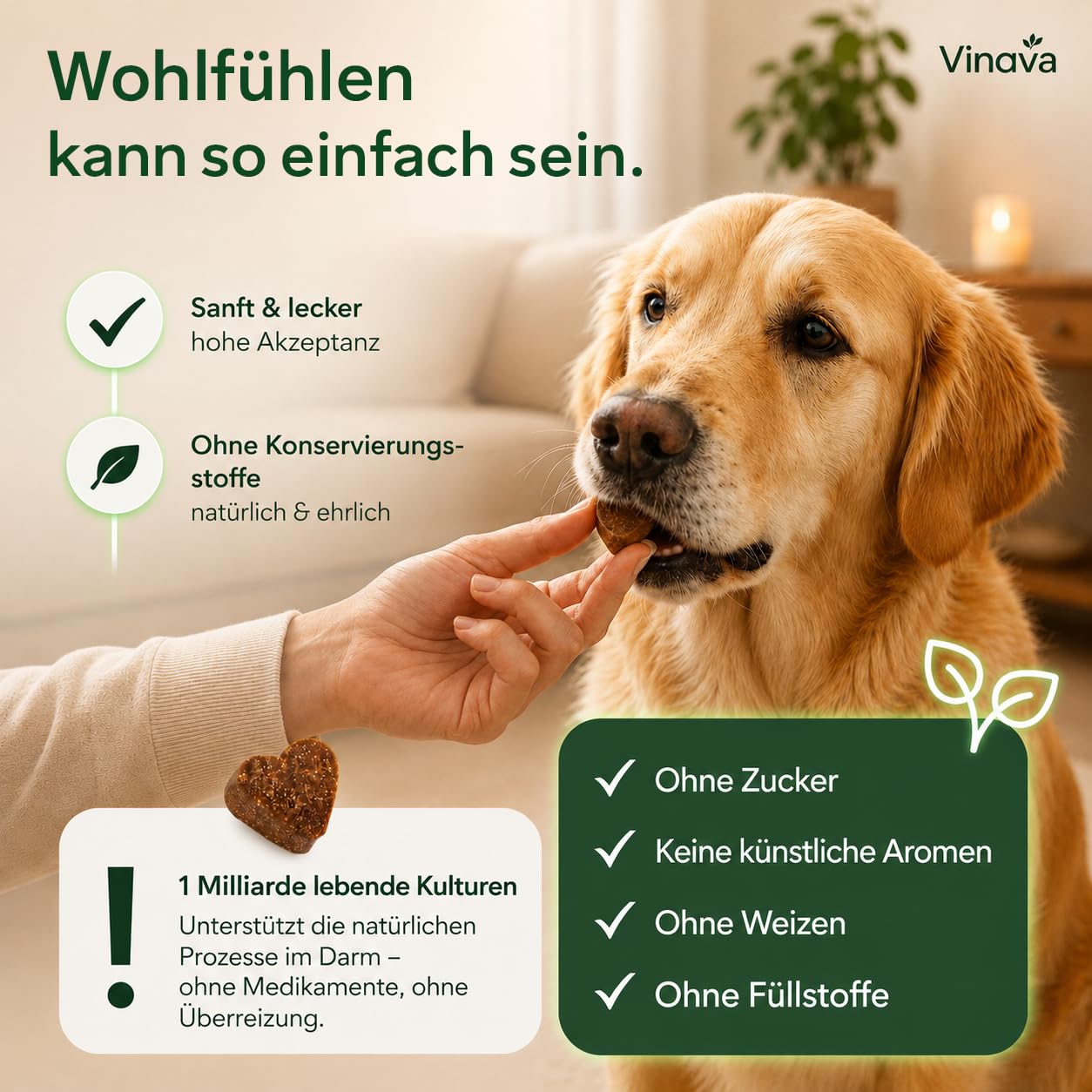 FloraCare+ Probiotika Hund – Darmkur bei Durchfall, Blähungen & Sodbrennen | Darmflora aufbauen & Magen-Darm stärken | Präbiotika + Probiotika für Hunde | Magenschutz & Darmwohl | 60 Stück