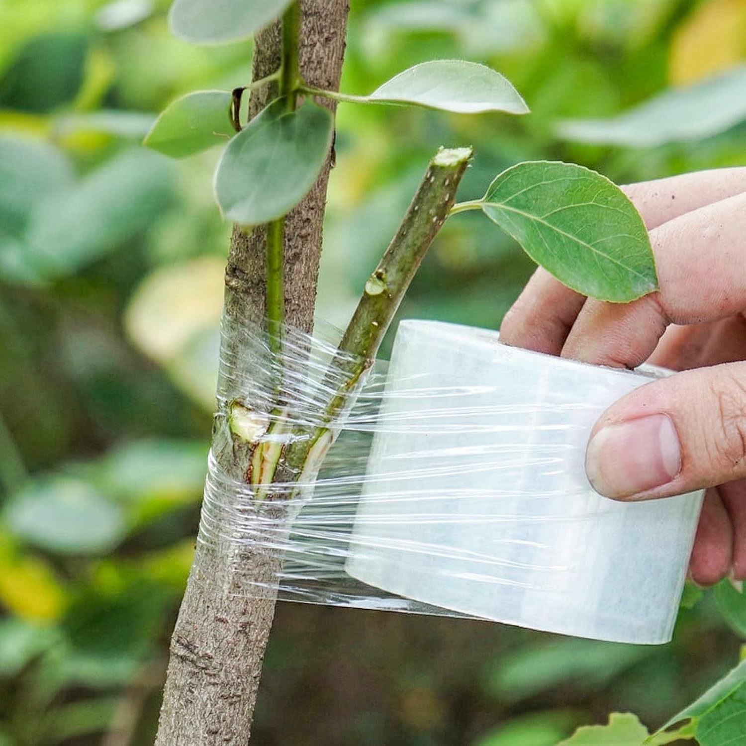 Garden Grafting Knife, Curved & Straight Garden Knife Blade, Tree Grafting Kits Including Grafting Tapes Plant Labels for Plant Branch Vine Fruit Tree Cutting image 4