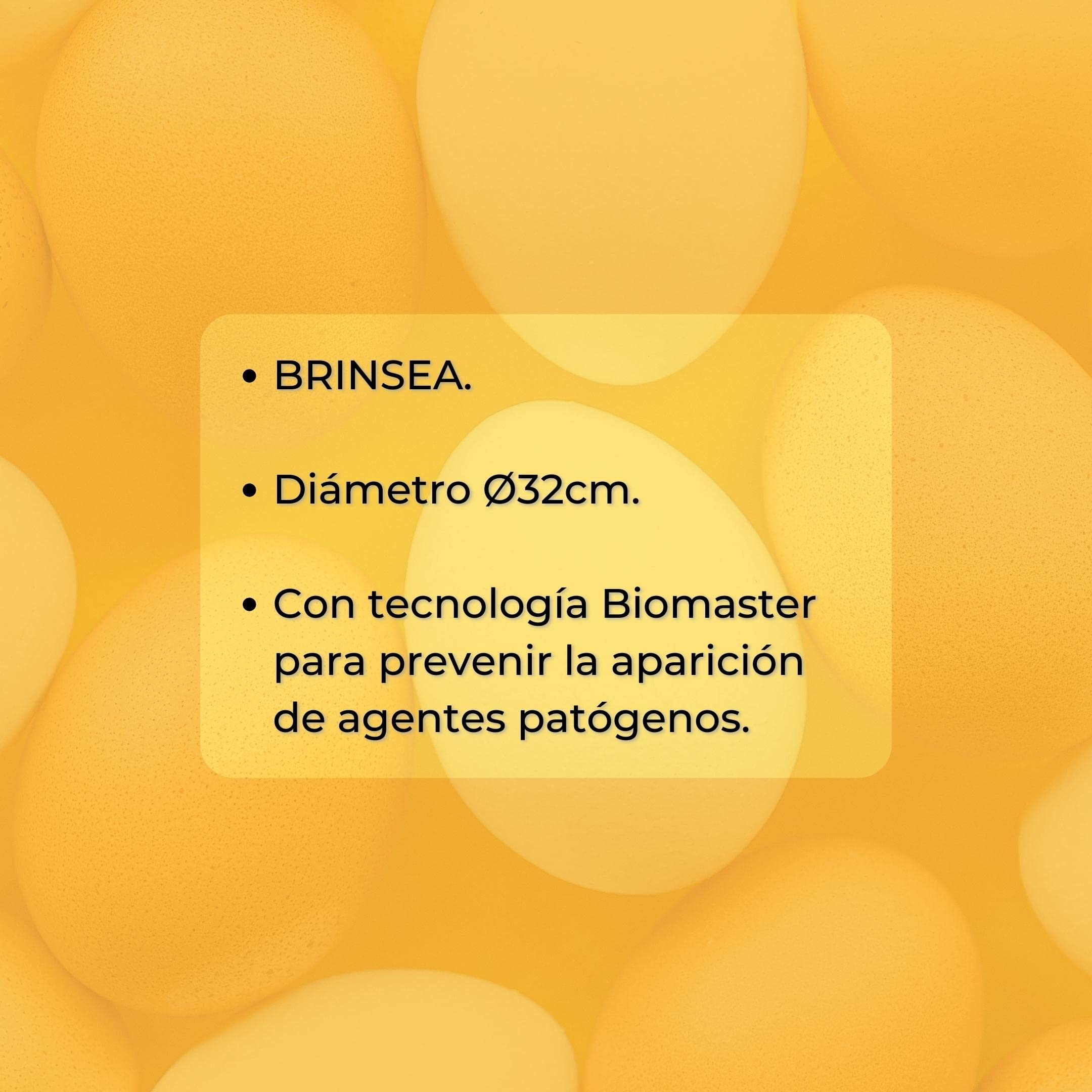 Bandejas para Incubadoras Brinsea Maxi - Bandejas Incubación de Huevos - Varias Capacidades - Para Diferentes Tamaños de Huevos - Sistema Antibacteriano - Capacidad 8 huevos extragrandes (4 cuartos)
