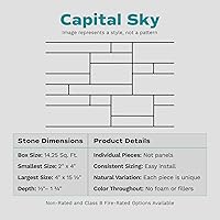 Vista 2 de Evolve Stone Capital Sky PS - Chapa de piedra plana con clasificación de fuego (14.25 pies cuadrados por caja)