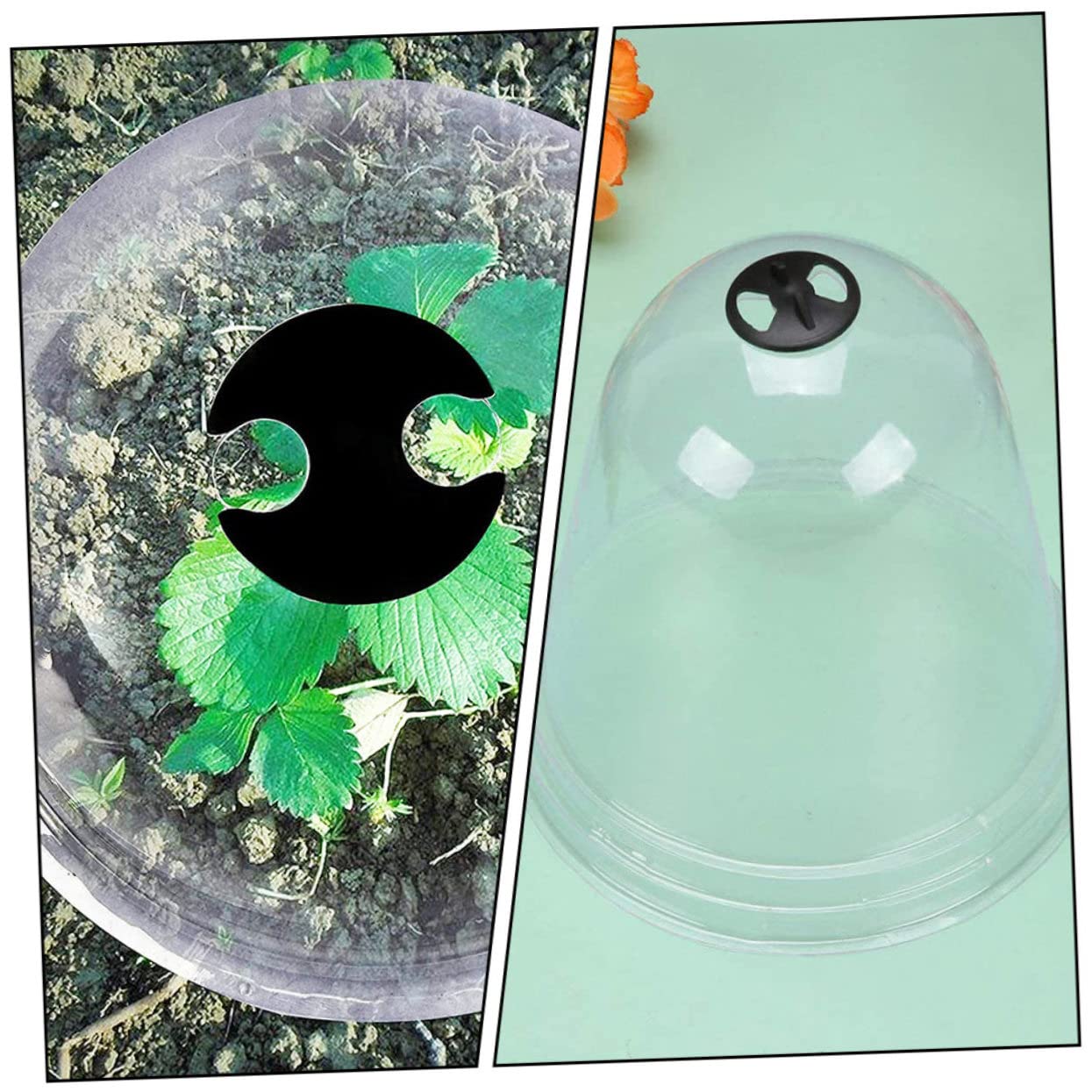 Milisten Cloches de pour Plantes de Pépinière Cloches pour Fleurs de Jardin Petites Plantes