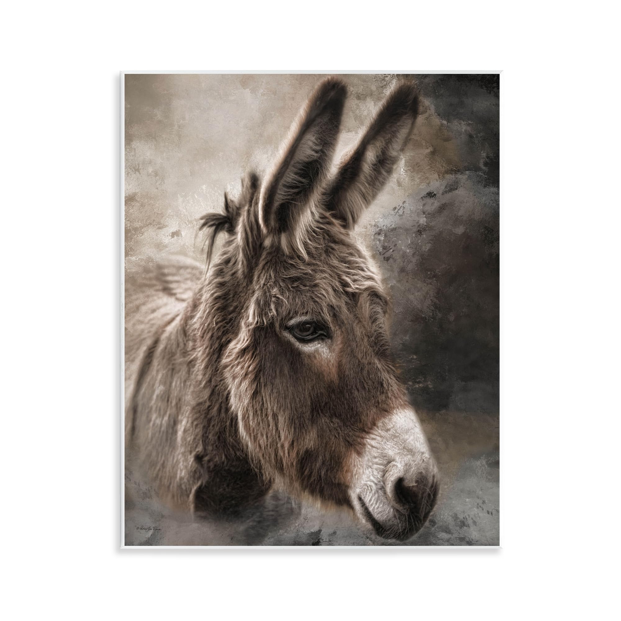 Stupell Industries All Ears Donkey Wall Plaque Art, design by Robin-Lee Viera, 14 x 11