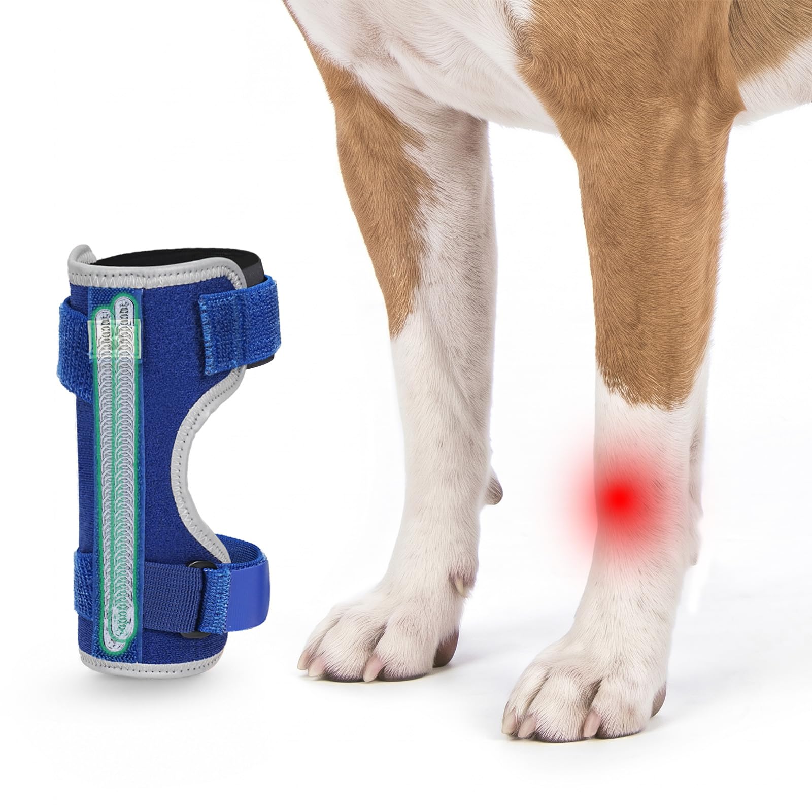 Dog Leg Brace for Hock Joint, Dog Splint Ankle for Arthritis, Sprains, XL