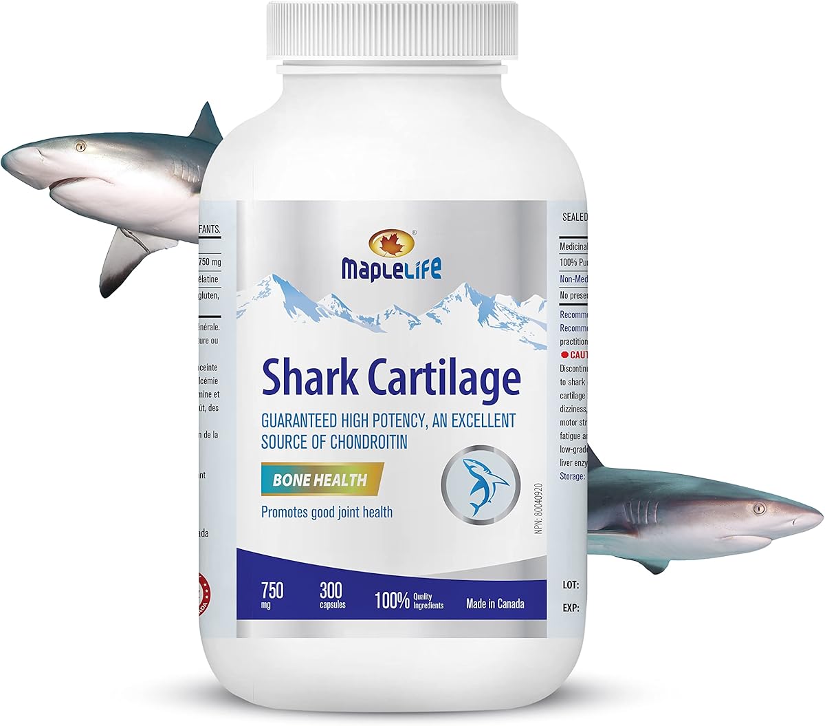 Maplelife MapleLife Nutrition® - Shark Cartilage 750mg - Excellent Source of Chondroitin – Calcium – Carbohydrates – Maintain Bone Health – Reduce Joint Pain – Anti-Inflammation – Reduce Swelling & Redness of Joints - 300 Capsules – 100 Days Serving - Made in Canada
