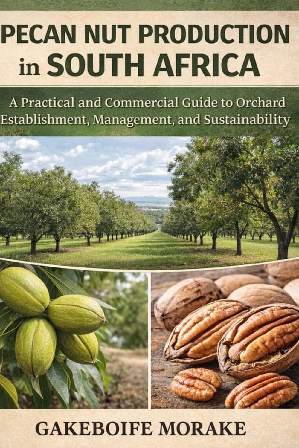 Pecan Nut Production in South Africa: A Practical and Commercial Guide to Orchard Establishment, Management, and Sustainability