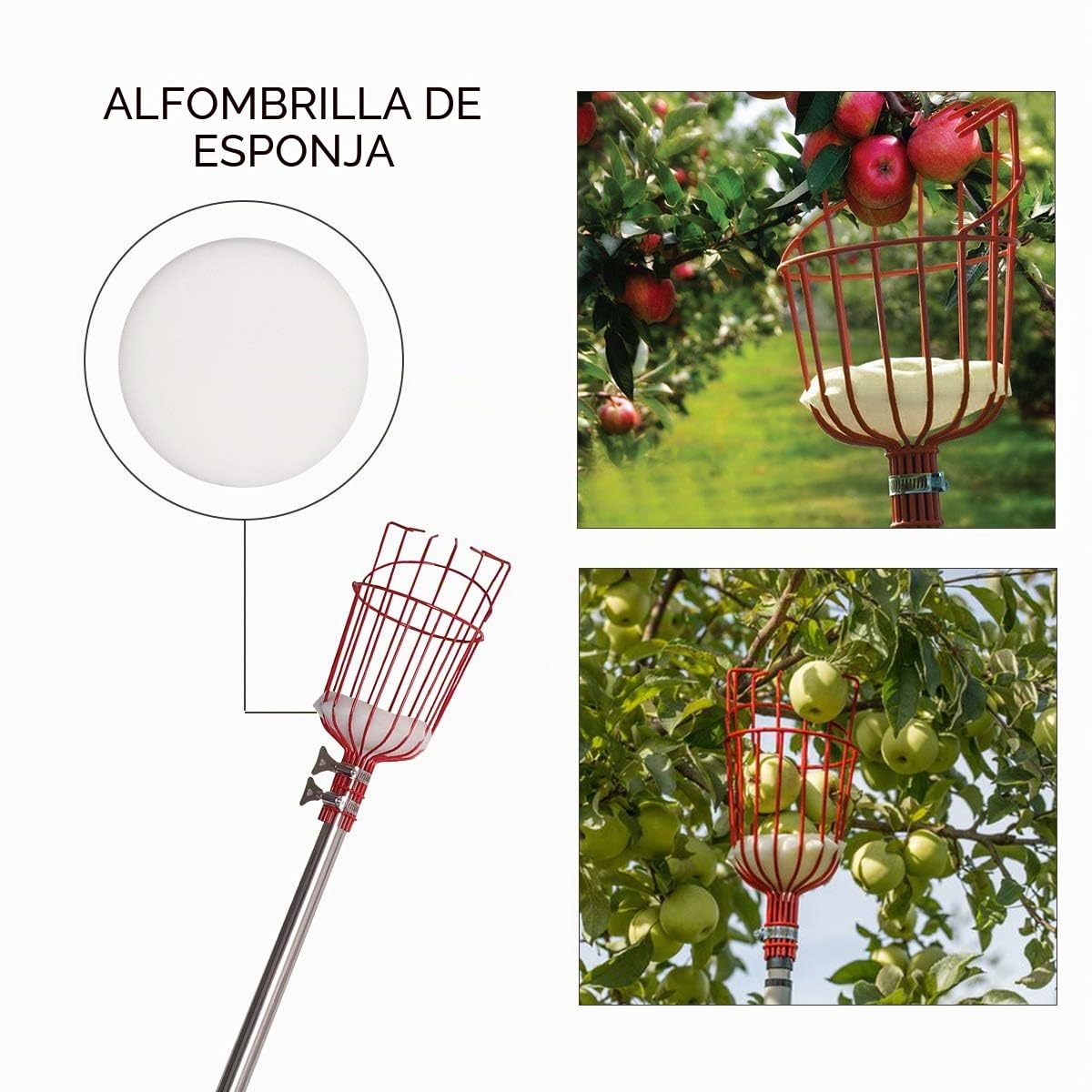 Recogedor de fruta Palo Para Recoger Frutas con 4M Poste de extensión Recogefrutas Pinzas extensibles para jardinería con Cesta picadora de Frutas con Barra telescópica de Aluminio Ligero Y bolsa