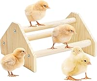 YLSURNY Baby Chicken Perch: Durable Pine Wood Roosting Bar Jungle Gym for Chicks, Coops, Brooders & Baby Turkeys - 7.9x6.9x4.14"