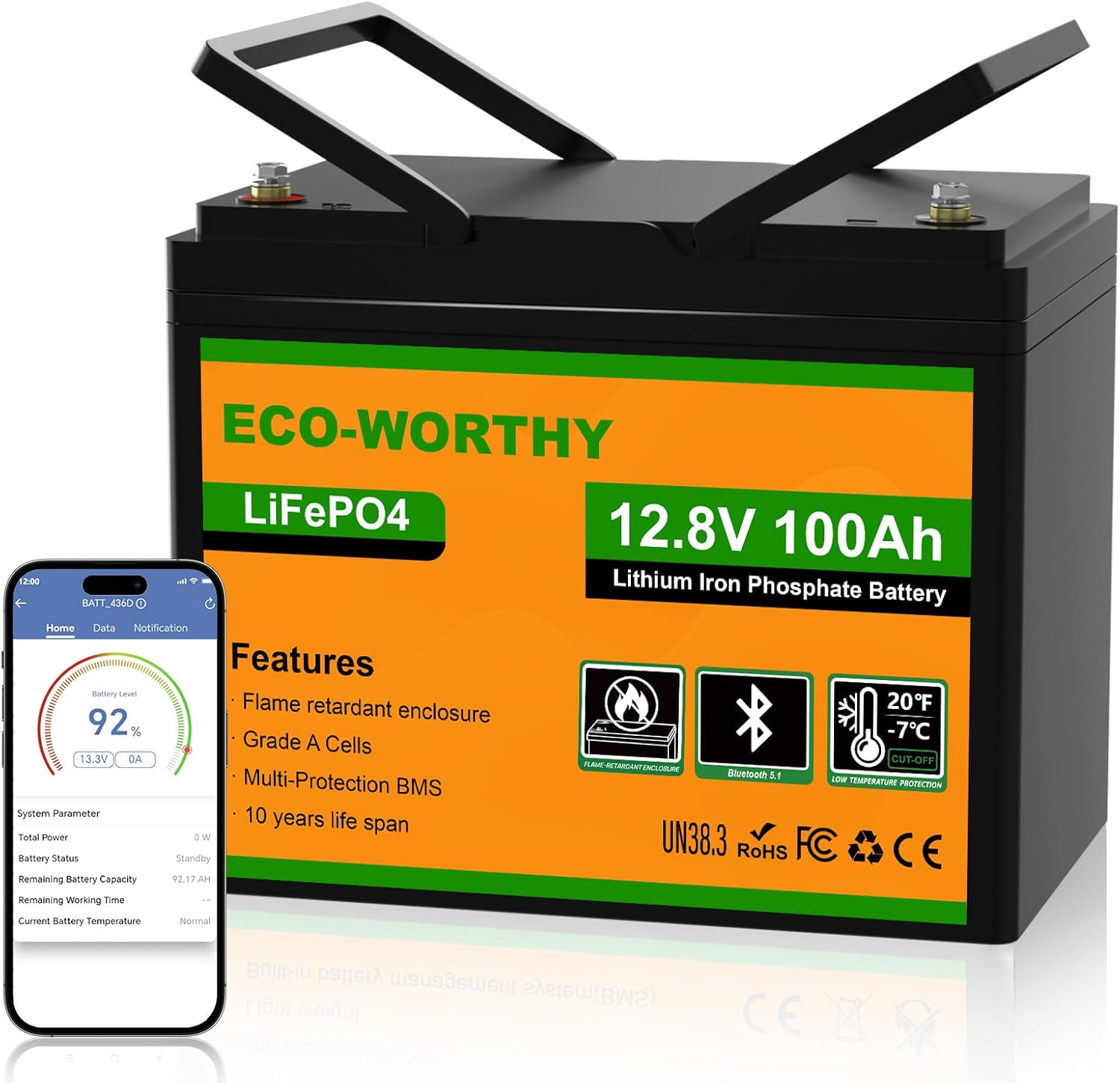 ECO-WORTHY LiFePO4 12V 100Ah Bluetooth mit 100A BMS Low Temperature Schutz