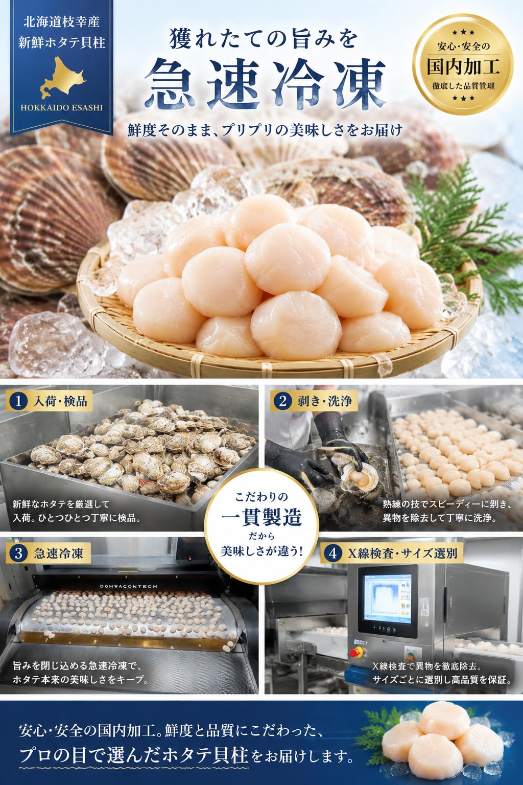 Amazon.co.jp: 海洋食品 ホタテ 冷凍 ほたて貝柱 500g 【小玉(60～75粒