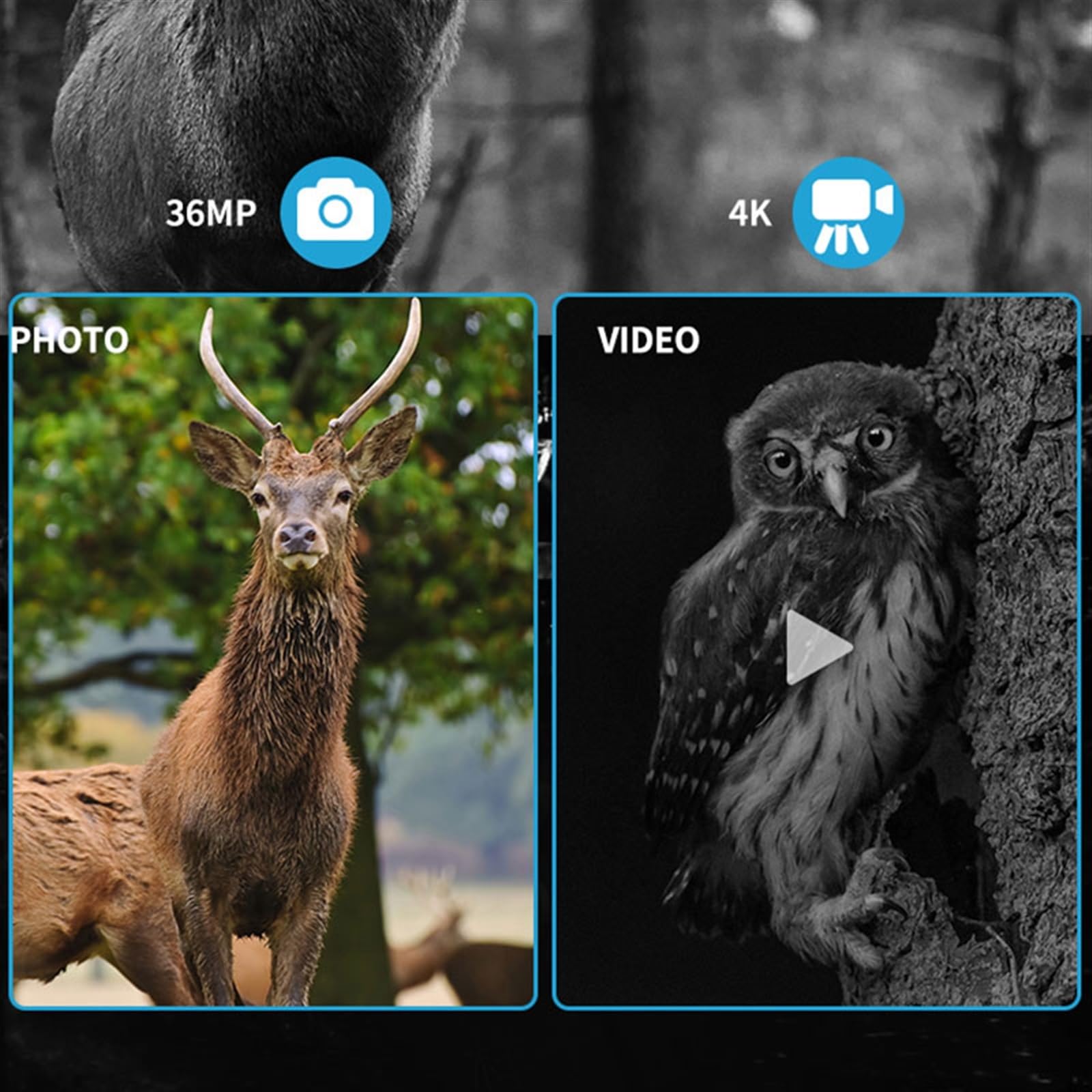 Noktowizor, Akumulatorowy teleskop 4K na dzień i na noc Cyfrowy noktowizor na podczerwień s Scouting Lornetka noktowizyjna N Lornetka do podróży, biwakowania