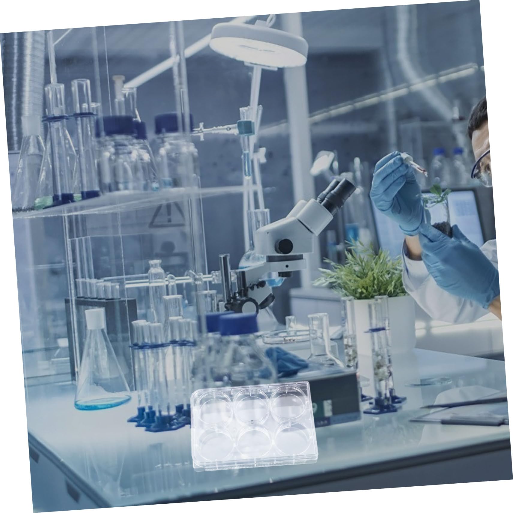 4 Pièces Plaque de Culture Tissulaire avec Couvercle Usage Unique et Polyvalente pour Laboratoire pour Expériences Cellulaires