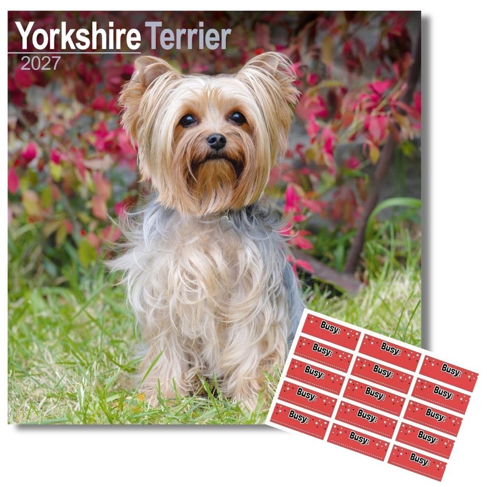 Avonside Yorkshire Terrier 2027 Calendar with Organisational Stickers