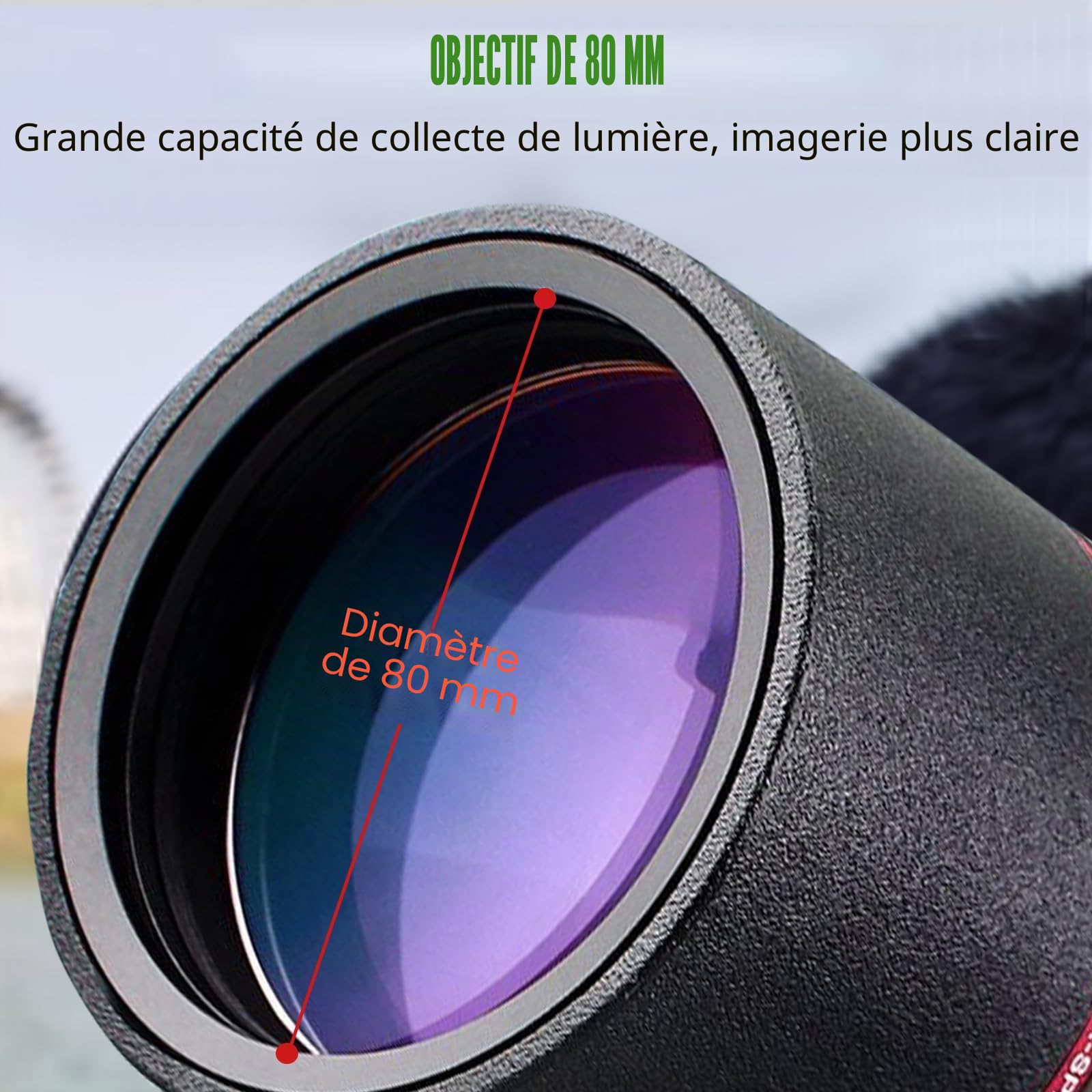 Svbony SV13 20-60X80 Longue Vue, HD Porro Prisme FMC Optique Étanche Monoculaire Longue Vue pour Tir Sportif, l'Observation des Oiseaux (avec Grand trépied)
