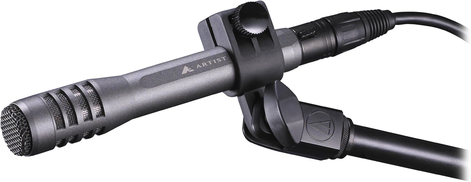 Audio-Technica AE5100 Cardioid Condenser Instrument Microphone : Musical Instruments