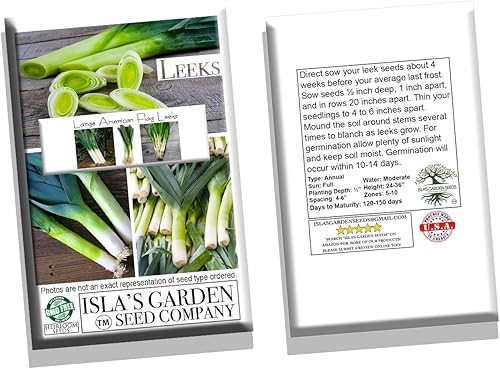 Miniatura 8 de Semillas grandes de puerro con bandera estadounidense para plantar, más de 500 semillas de reliquia por paquete, semillas de jardín de Isla
