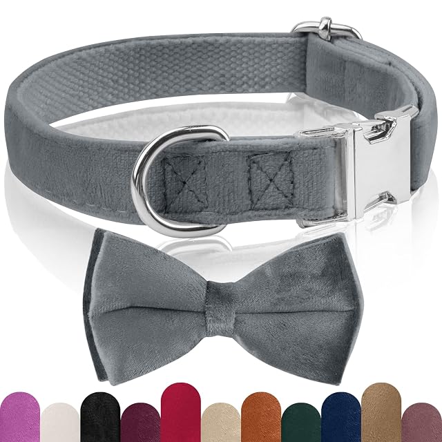 KTWSUEF Collar Perro Terciopelo, con pajarita perro Desmontable