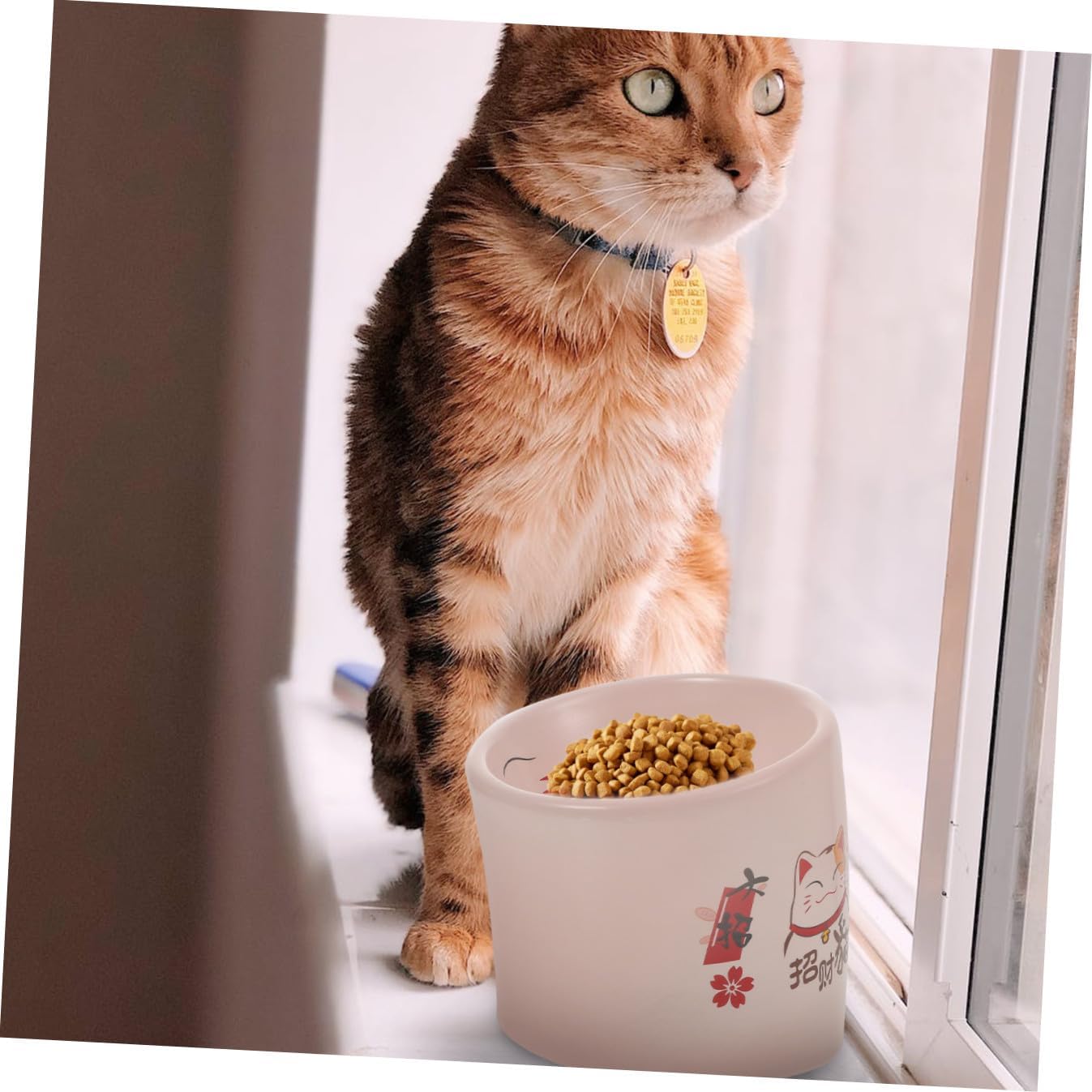 Elevated Ceramic Cat Bowl with Anti-tip Design, Pink Kitten Feeding Dish with Neck Protection, Non-Skid Pet Feeder Bowl for Cats and Small Dogs