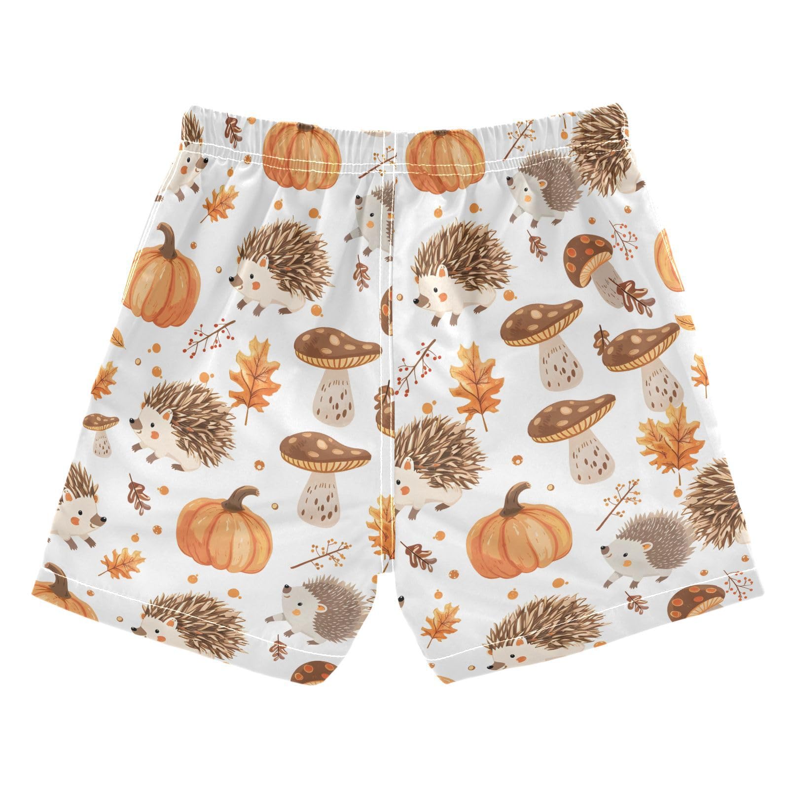 ALAZA Hedgehog Pumpkin Mushroom Maple Leaf Boys Quick Dry Beach Board Shorts Kids Swim Trunks Bathing Suit Swimsuit 3T Multicolor