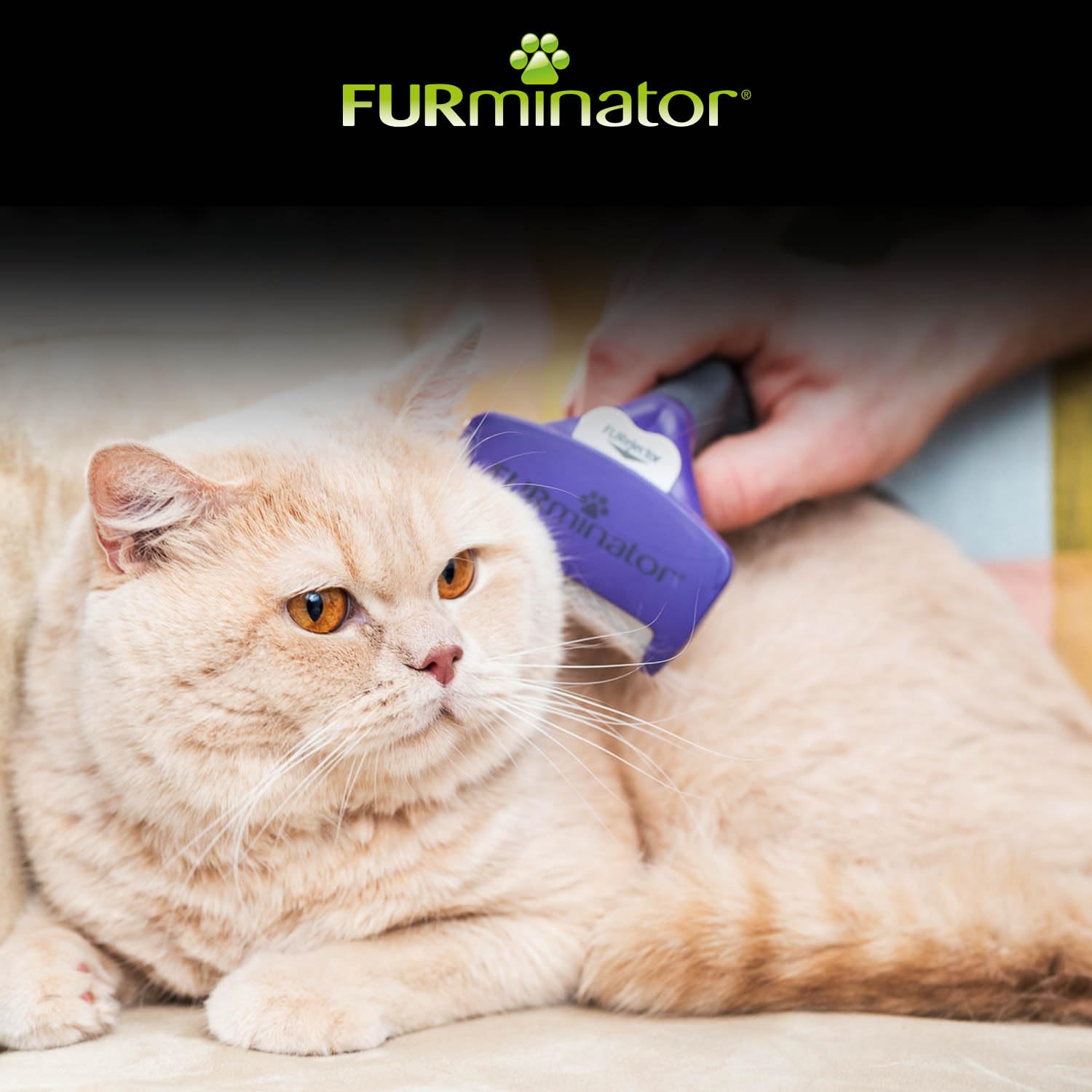 FURminator deShedding Tool Katzen Größe M,L Kurzhaar - Katzenbürste für mittelgroße und große Katzen zur Entfernung der Unterwolle
