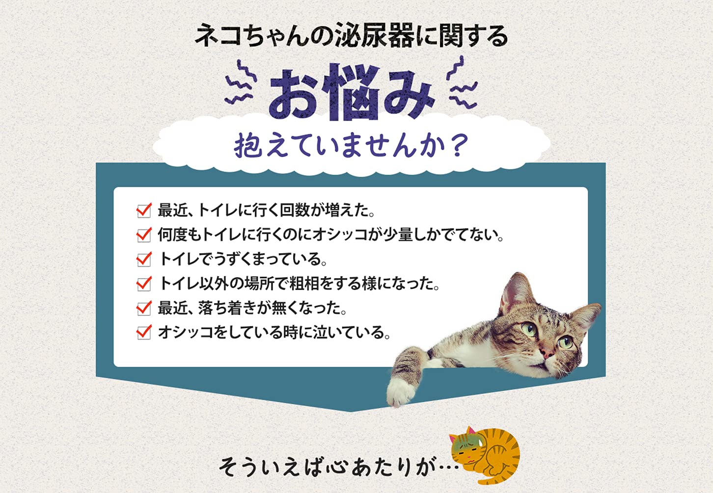Amazon | 猫用 健康 サプリメント ウラジロン1袋（60粒