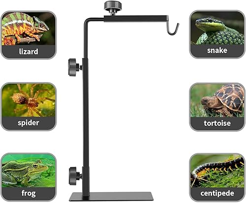Reptile Lamp Stand — detail view
