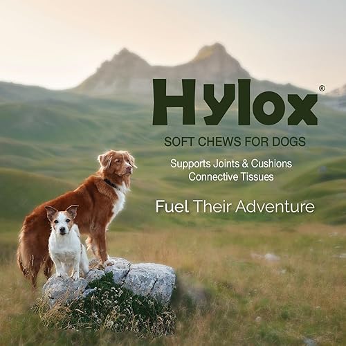 Miniatura 2 de Pet Health Solutions Hylox - Masticables suaves para perros, soporta articulaciones y cojines tejidos conectivos, glucosamina, ácido alfa