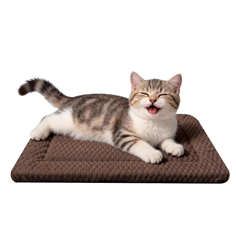 Cama para cães e gatos tipo colchonete reversível com plush e canvas pobopobo Dark Brown, XS (45,72 x 35,56 x 3,81 cm), 1 unidade