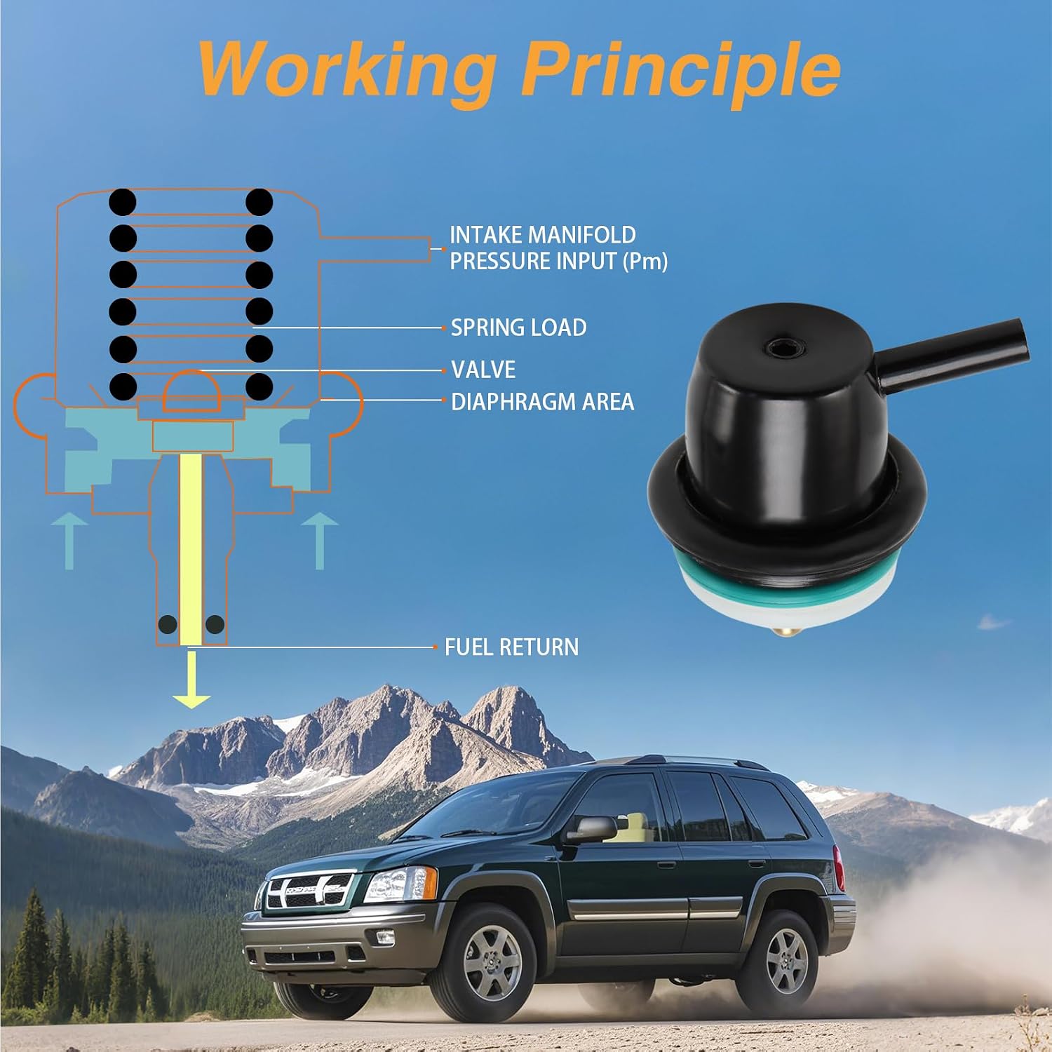 FUSCH Fuel Injection Pressure Regulator with Clip Snap Ring Vacuum Line Tube Compatible with Cadillac Escalade Chevrolet Avalanche Express GMC Savana Sierra Buick Rainier Replace#: 17113556 89060418