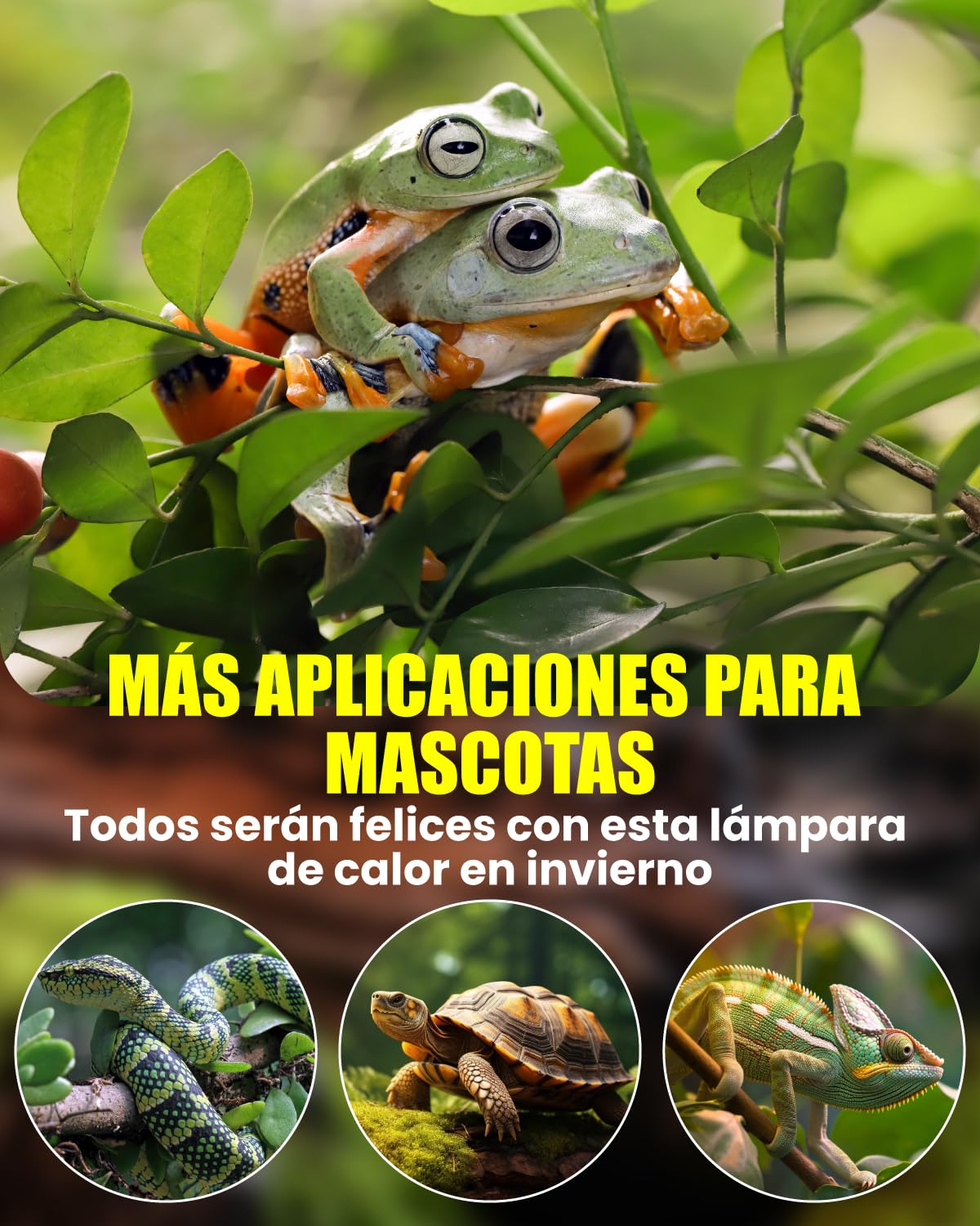 Terrario Reptiles Lámpara para Tortuga de Calor Lámpara para Terrario 50W UVA/UVB con Clip Ajustable E27 Portalámpara Base para Tortuga, Lagartos, Araña, Camaleon, Anfibios (2 Bombillas)